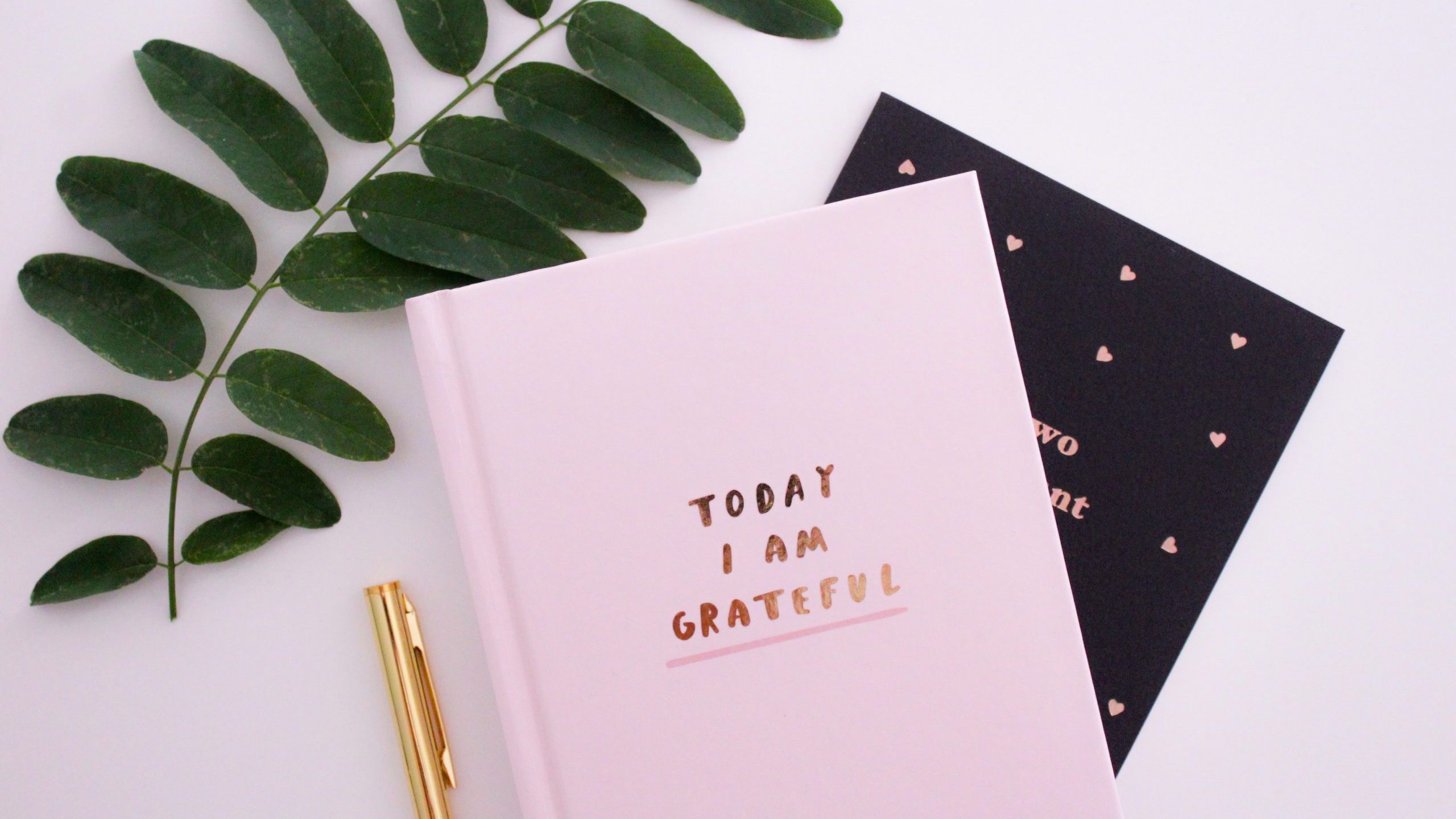 Gratitude Journal